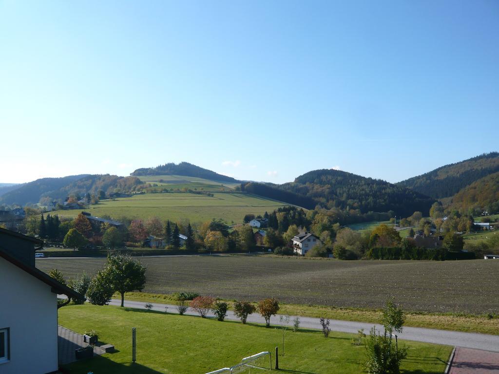 Villa Haus Talblick à Willingen  Extérieur photo