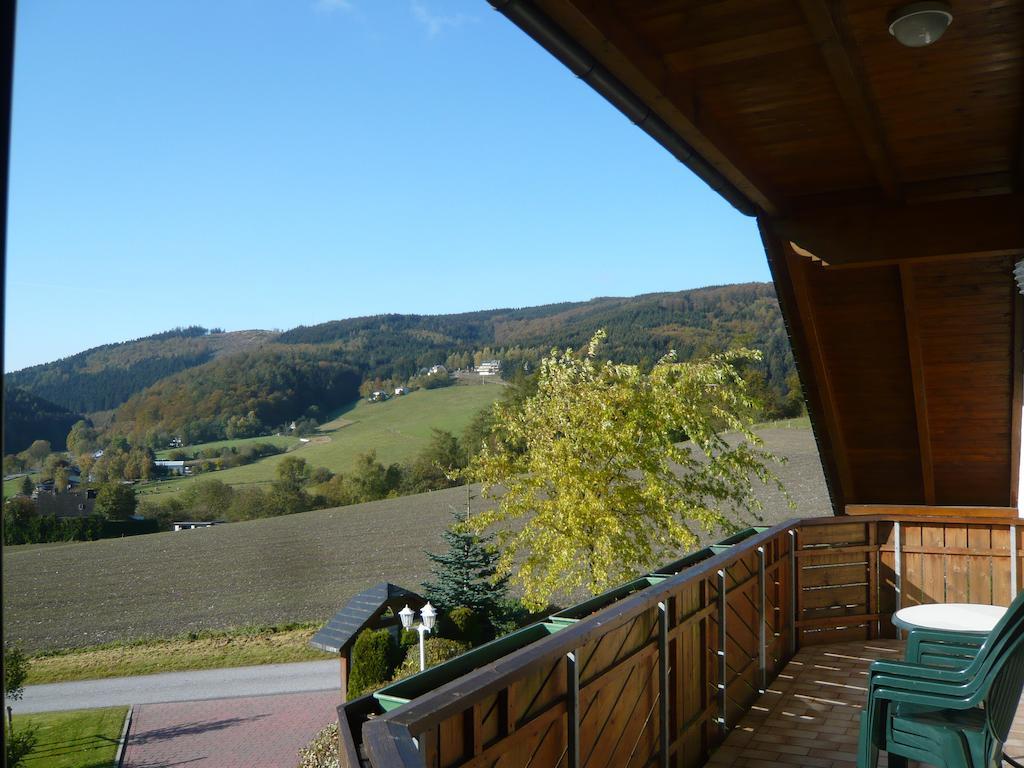 Villa Haus Talblick à Willingen  Extérieur photo